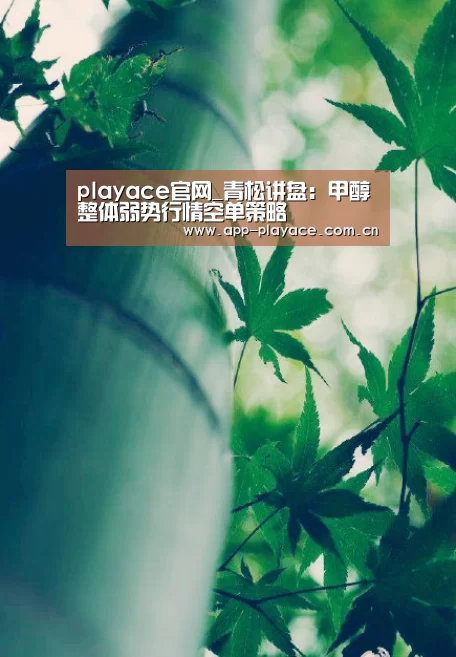 playace官网_青松讲盘:甲醇整体弱势行情空单策略(图1) playace官网
